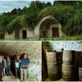 Crvenka postaje turistička atrakcija Obnavljaju se vinski podrumi iz 18. veka; Uskoro otvoreni muzej i kulturni prostor