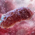 Epidemija opasne bakterije u Nemačkoj, zaražena deca na intenzivnoj nezi! Šta je EHEC čiji najteži sindrom vodi otkazivanju…