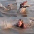 Mislila je da se u vodi uhvatila za granu, a onda je videla šta je u pitanju: Usledila je borba za život