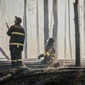 Чернобиљ опет у пламену: Ватра прогутала 1.200 хектара шуме ФОТО