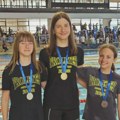 Sjajan nastup plivača Proletera u Novom Sadu – osvojeno čak 16 medalja Plivački klub Proleter