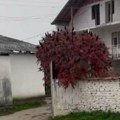 U ovoj trošnoj kući je nekada živela naša pevačica: Danas uživa u luksuzu, a ovde je provela detinjstvo