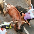 Sedmoro u bolnici posle trke s bikovima