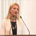 Miščević: Srbija bi mogla da ispuni kriterijume za ČLANSTVO U EU DO 2025. GODINE