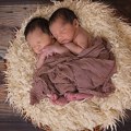 У Бетанији за 24 сата рођена 21 беба, међу њима три пара близанаца