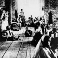 Jasenovac kandidovati za rezoluciju: Moskva najavljuje dokument o nemačkom genocidu u sssr tokom Drugog svetskog rata