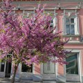 Bibliotekarsko društvo Srbije upozorava: Ozbiljno ugrožen rad javnih biblioteka