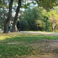 Volonteri pozivaju na akciju čišćenja parka „Devet Jugovića“ u nedelju ujutru