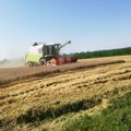 Počela žetva ječma, a u narednim danima očekuju se i prvi otkosi pšenice
