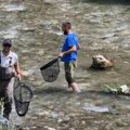Масовни помор рибе у реци Рашки: Узорци воде и рибе послати на вештачење