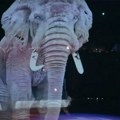 Cirkus u Nemačkoj uradio nešto što niko nije do sada: Evo kako su zamenili životinje i oduševili publiku