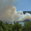 Lokalizovan požar u Njivicama, nema povređenih