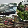 Pada drveće, vetar ruši sve pred sobom! Snažno nevreme pogodilo Kragujevac: U blizini ovog mesta se razvila razorna…