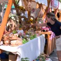 Kladovo spremno za spektakl! Jubilarni Etno festival počinje danas, stižu Crvena jabuka, Peđa Jovanović i Milan Mitrović