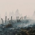 Požari su se smirili, ali opasnost nije prošla: "Zombi-vatre" tinjaju pod zemljom i mogu ponovo da buknu