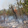 U Crnoj Gori i dalje aktivno više požara od kojih su neki pod kontrolom