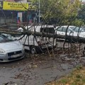 Očekuje li nas još ekstremnih nepogoda u avgustu i hoće li biti oboreni temperaturni rekordi