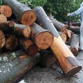 Hapšenje zbog šumske krađe: Pet osoba privedeno u Vlasenici