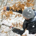 Spc danas slavi Badnji dan koji najavljuje proslavu Božića, evo šta treba da znate!