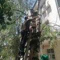 Dobrodušni radnici Bolnice spasli mladunce sove: Pet ptića čeka majku (foto)