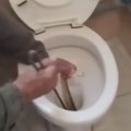 Kamera snimila jeziv prizor: Zver se dve nedelje skrivala u WC šolji i terorisala stanare - noćna mora u kupatilu porodične…