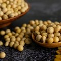Predlog EU o klasifikaciji sojinog ulja ugrožava održivu evropsku proizvodnju proteina