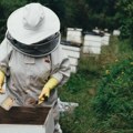 Francuski pčelari oštro kritikovali usvajanje zakona o upotrebi dva pesticida