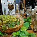 Aco Pejović i „Tropiko bend“ na „Vinskom balu“ u Vlasotincu