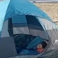 Zver se prišunjala turisti dok je dremao Zastrašujući prizor sa plaže u Meksiku! (video)