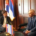 Brnabić se sastala se Bocan-Harčenkom, razgovarali o osnivanju parlamentarne grupe prijateljstva sa Rusijom