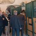 Ergela Kelebija ima veliki potencijal u konjičkom turizmu