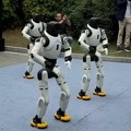 Roboti Milutin i Dragutin večeras stižu u Leskovac: „Moravac“ na gradskom trgu