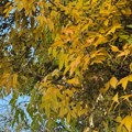 Razvedravanje, maksimalna dnevna temperatura 19 stepeni