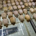 Da li je Nemačka odgovorna za genocid u Ruandi