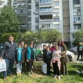 Jedna škola = Jedno drvo: Opština Vračar obeležila Međunarodni dan planete Zemlje