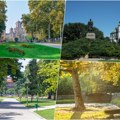 Građani se tokom letnjih meseci mogu susresti sa kaznom do milion dinara ako na ovaj način ugroze zelenu površinu