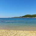 Opasna riba murina snimljena na popularnom odmaralištu u Grčkoj (VIDEO)