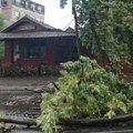 Nevreme pogodilo Kragujevac: Vetar obarao drveće i kontejnere posle tropskih vrućina