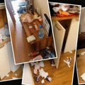 Dragana iz Budve izdala apartman turistima, pa nakon njihovog odlaska doživela šok: "Došlo mi je da plačem kad sam ušla, ovo…