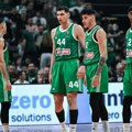 As Panatinaikosa može da zamisli Zvezdu na F4: Možda, nikad se ne zna...