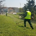 (Foto) JKP "Zelenilo Beograd" počelo košenje javnih zelenih površina u gradu: angažovano oko 160 radnika