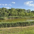Zrenjanin: Obećana luksuzna plaža za 10.000 ljudi, a ostalo samo zapušteno jezero