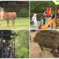 (Foto) Pogledajte nove sadržaje u Zoo vrtu na Paliću. Bebi životinje atrakcija, igralište puno dece, a evo kakav dvogled je…