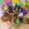 U vrtiću u Gornjem Milanovcu potvrđena šuga kod jednog deteta