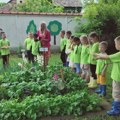 Zeleni bubamarci iz Nadalja - vrtić u kom deca sama uzgajaju svoju užinu