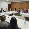 „Čajankom za žene“ naprednjaci u Novoj Varoši počeli kampanju za parlamentarne izbore