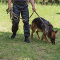 Pronađen nestali dečak kod Boleča: GSS i policija ga našli u šumi