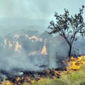 Gori više od 100 požara: MUP objavio koji delovi Srbije su najugroženiji i apelovao na građane
