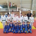Sjajan uspeh pirotskih džudista za kraj polu-sezone, 12 medalja i pehar na turniru u Sokobanji