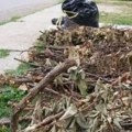 „Čistoća” odnosi kabasti i baštenski otpad: Raspored čišćenja po mesnim zajednicama